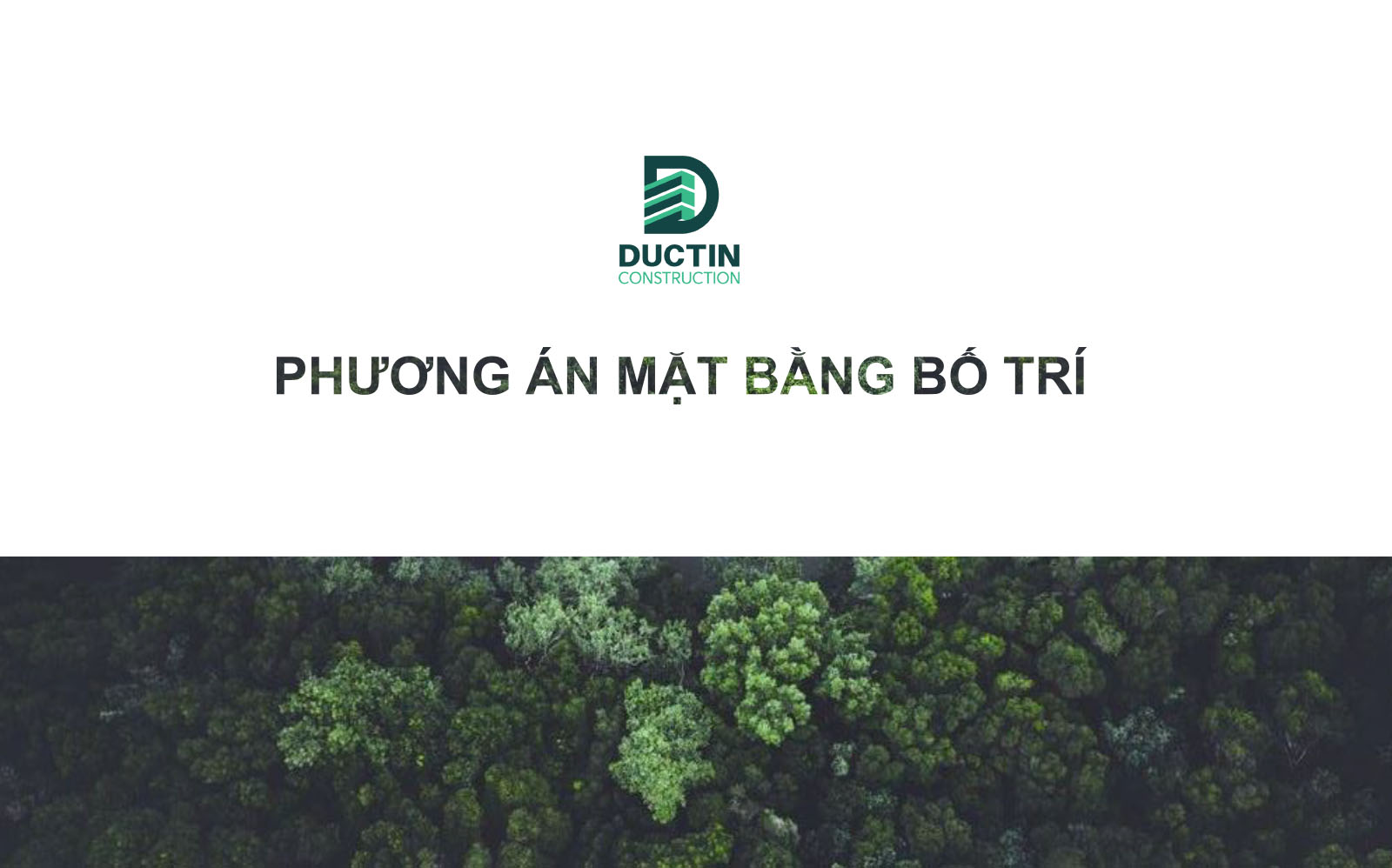 layout mat bang bo tri